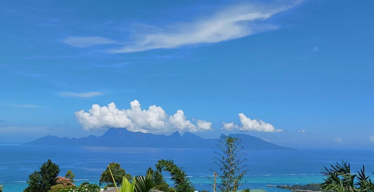 Studio Confort Avec Piscine Et Vue Tahiti Punaauia Zewnętrze zdjęcie
