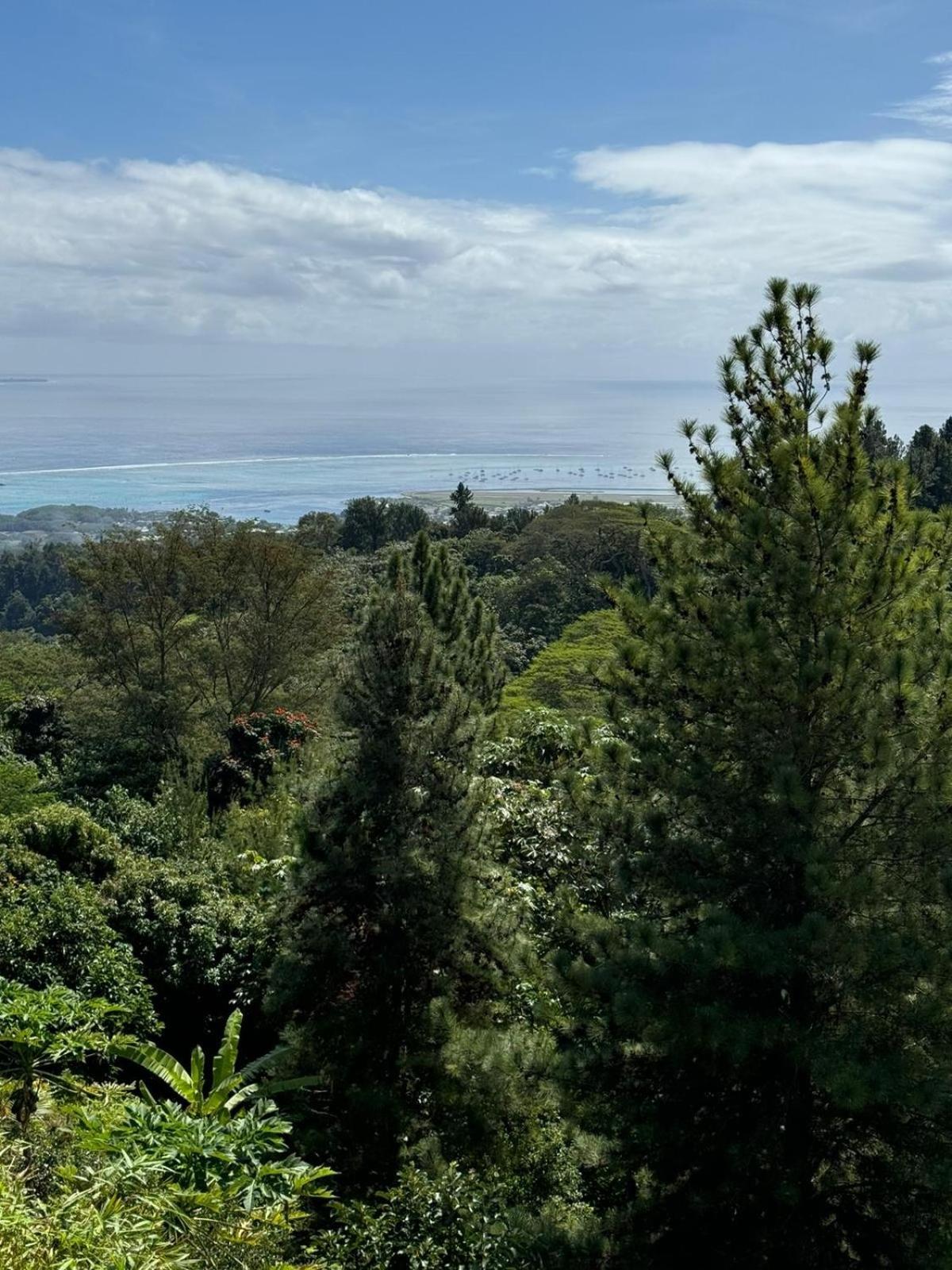 Studio Confort Avec Piscine Et Vue Tahiti Punaauia Zewnętrze zdjęcie