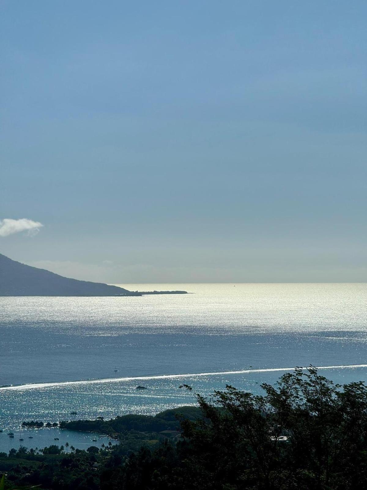 Studio Confort Avec Piscine Et Vue Tahiti Punaauia Zewnętrze zdjęcie