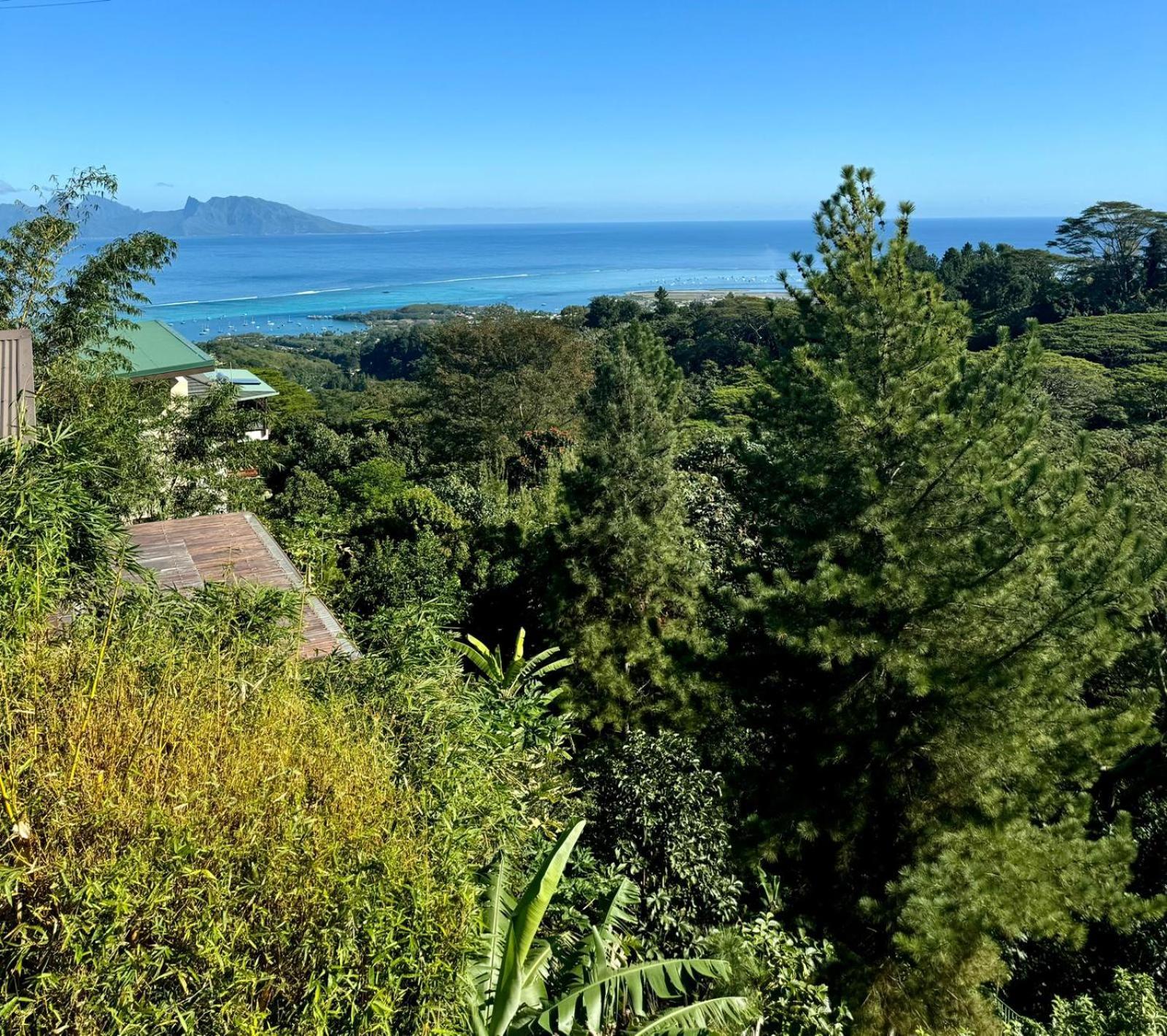 Studio Confort Avec Piscine Et Vue Tahiti Punaauia Zewnętrze zdjęcie